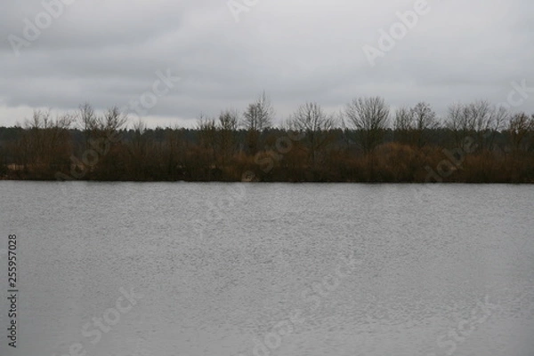 Obraz Early spring on the river