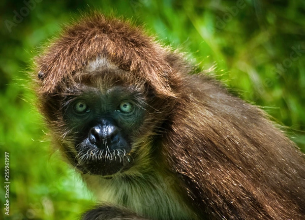 Fototapeta OLYMPUS DIGITAL CAMERA