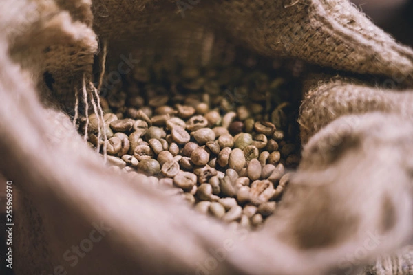 Obraz Coffee beans in sacks.