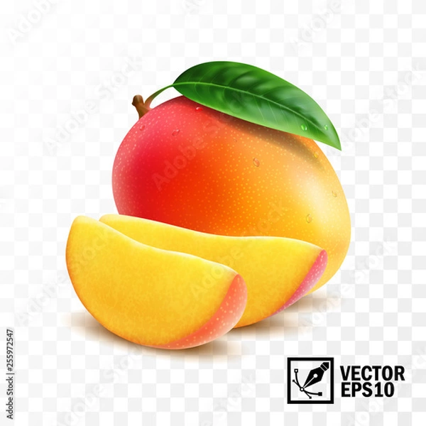 Fototapeta Whole and slice mango fruit with leaf, 3D realistic isolated vector, editable handmade mesh