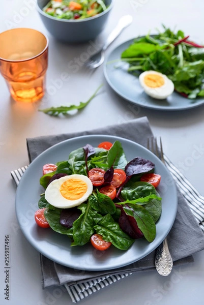 Obraz Salad mix with spinach, arugula,beet leaves, tomatoes and eggs on gray wooden background. Vegetarian food concept. Selective focus.
