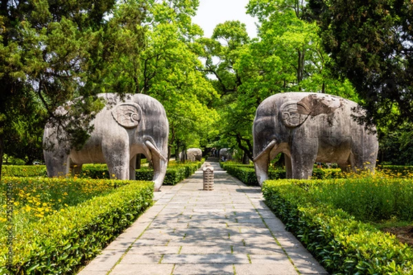 Fototapeta Elephant statues in the sacred way in Ming Xiaoling Mausoleum, located on mount Zijin, Nanjing, Jiangsu Province, China. Ming Xiaoling Mausoleum is UNESCO World Heritage Site
