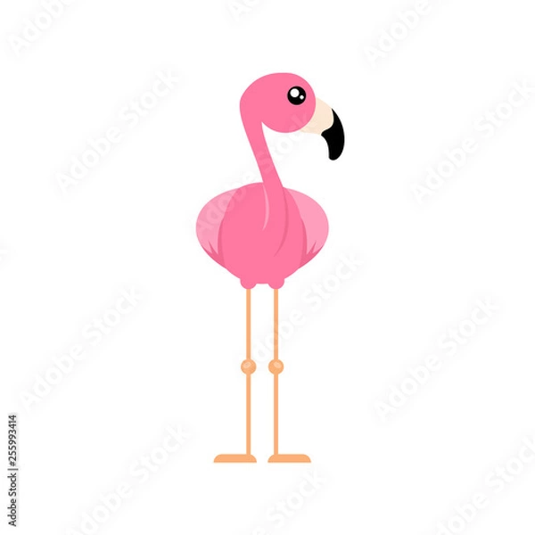 Obraz cartoon cute flamingo from the front vector