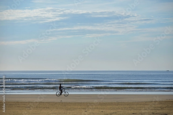Obraz Bicicle in the beach 1