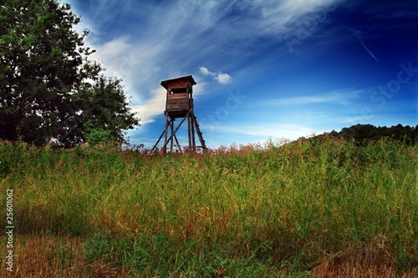 Fototapeta Stojak na jelenie
