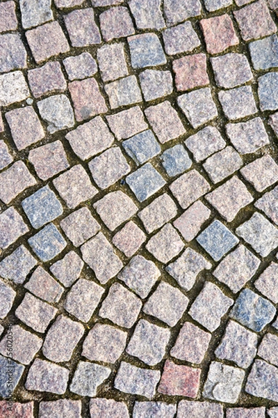 Fototapeta cobblestones on the ground of a city  avenue