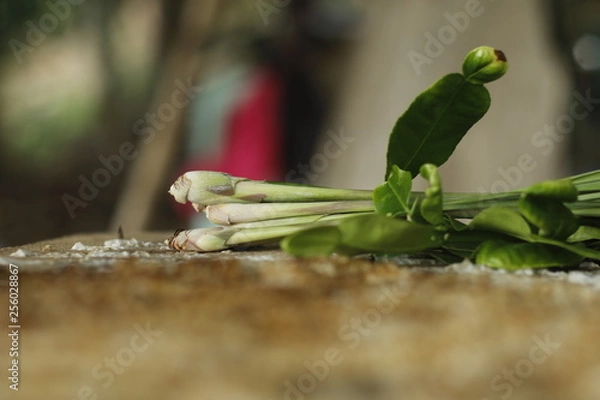 Obraz Lemongrass, Thai herb