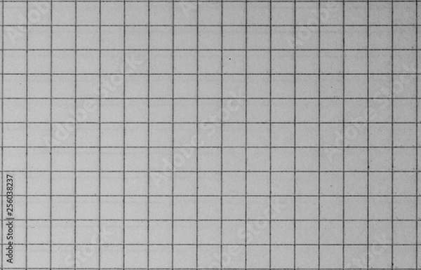 Obraz Blank paper sheet of a notebook. Grid. Grey. Background