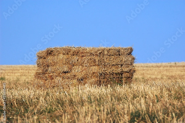 Obraz Bala de paja