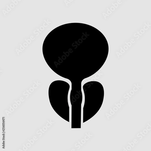 Fototapeta normal prostate and acute prostatitis. Medical illustration icon