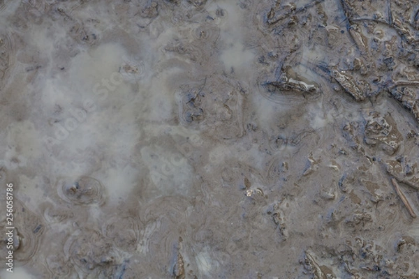 Fototapeta greasy wet mud background texture