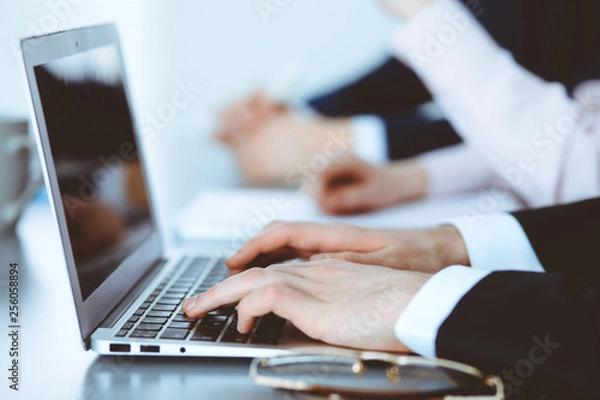 Fototapeta Group of business people working together in office. Man hands typing on laptop computer
