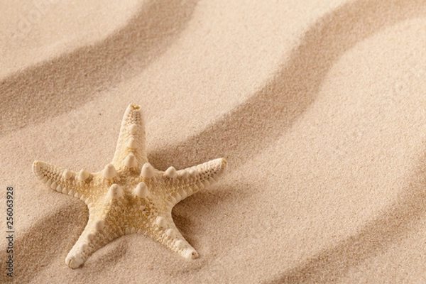 Fototapeta Starfish or sea star on the seashore of a rippled summer sandy beach? Textured background with open copy space;
