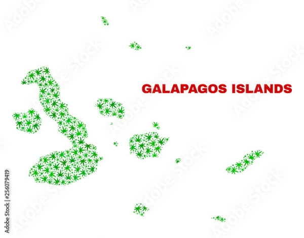 Fototapeta Vector cannabis Galapagos Islands map collage. Concept with green weed leaves for cannabis legalize campaign. Vector Galapagos Islands map is composed with herbal leaves.