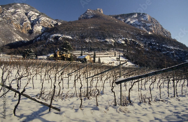 Fototapeta Siebeneich -Großarnell (Terlan, Bozen), Ansitz Kornell mit Schloß Greifenstein (Sauschloß) im Hintergr.