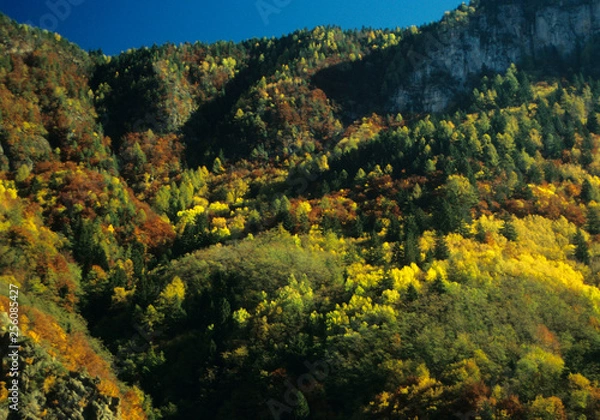 Fototapeta Terlan (Prov. Bozen), herbstliche Berghänge, Herbstfarben