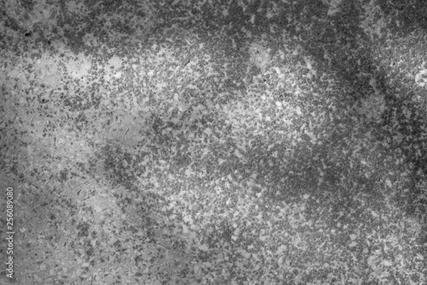 Fototapeta Cement or concrete texture 