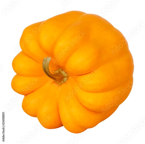 Obraz Pumpkin isolated on a white background