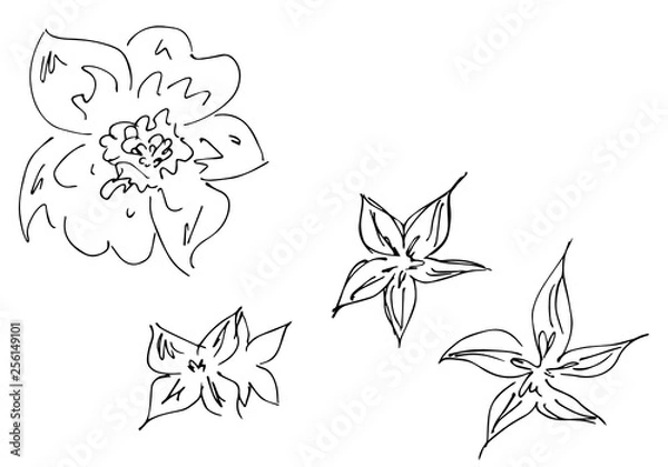 Fototapeta Hand Drawn Vector Illustrations Of Abstract Set of Flowers Isolated on White. Hand Drawn Sketch of a Flowers