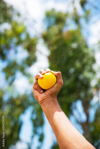 Obraz Hand Squeezing Stress Ball