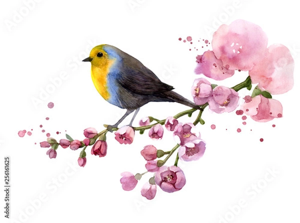Fototapeta watercolor bird spring