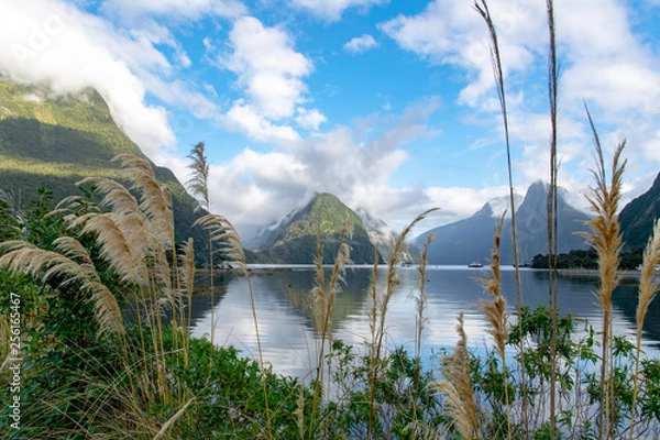 Obraz Milford Sound