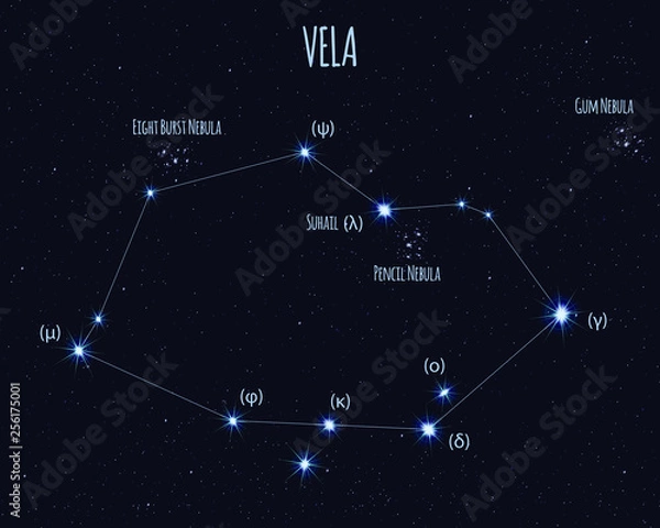 Obraz Vela (The Sails) constellation, vector illustration with the names of basic stars against the starry sky