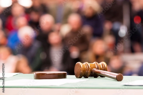Obraz auction  bid sale judgment and mallet gavel with public