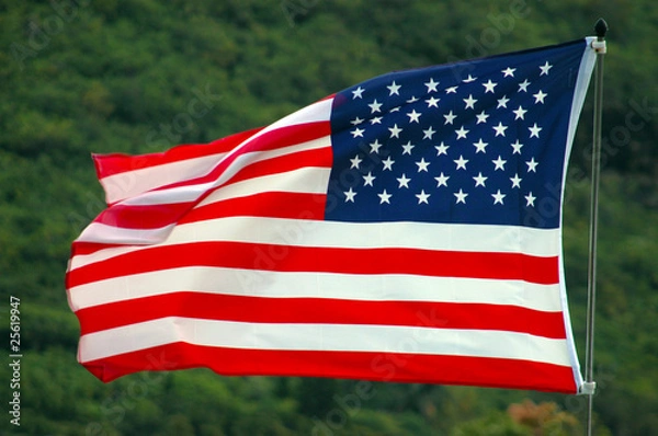 Fototapeta Patriotic Image of an American Flag Flapping in the Wind