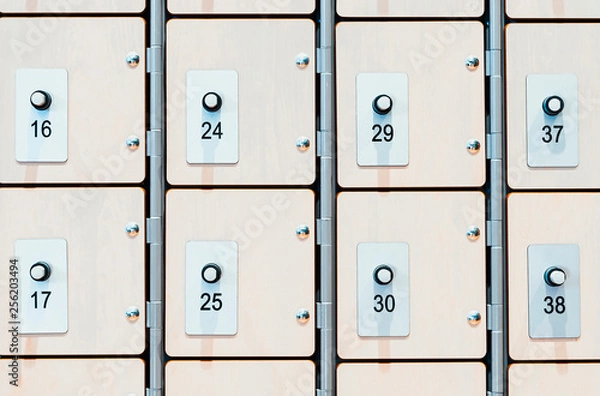 Fototapeta Lockers with electronic locks and fingerprint scanners in modern bright gym.