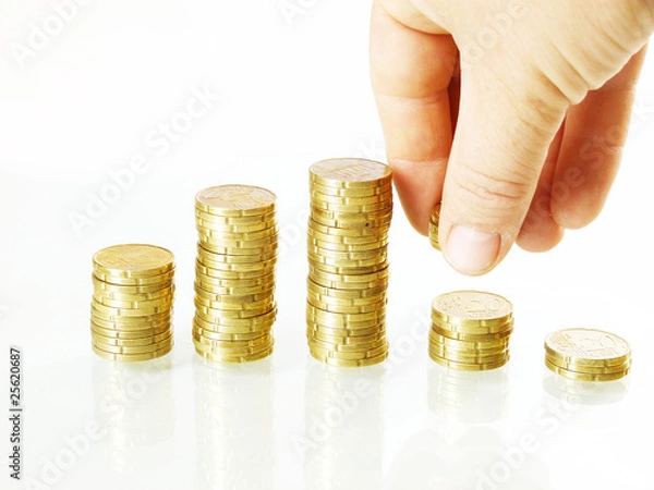 Obraz Wirtschaftsentwicklung