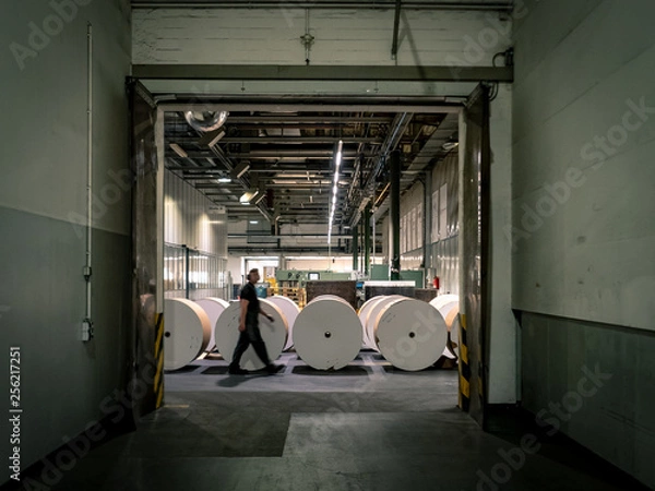 Obraz Papierrollen Druckerei