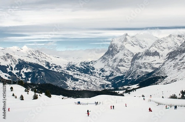 Obraz Grindelwald Valley