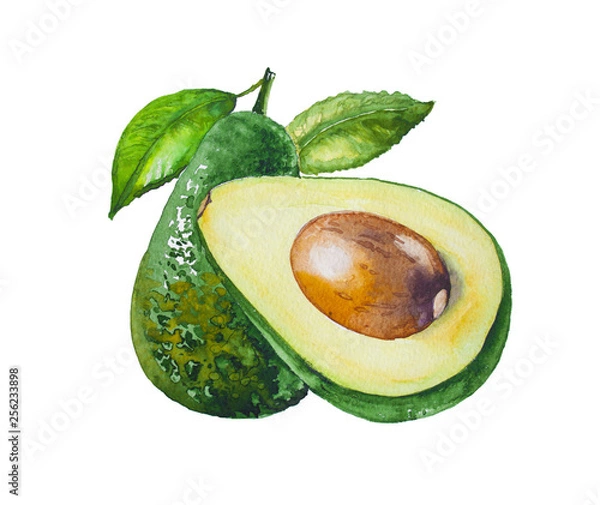 Obraz Avocado with avocado leaf isolated on a white background.