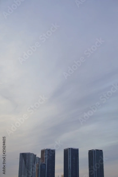 Fototapeta タワーマンション