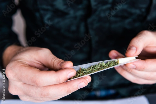 Fototapeta Drug use. Close up . Man rolling a marijuana joint. Man preparing and rolling marijuana cannabis joint. Close up of addict lighting up marijuana joint with lighter. Drugs narcotic concept.