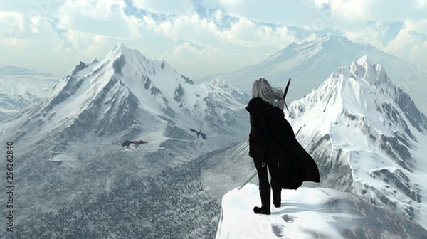 Fototapeta Mistrz podwójnego miecza