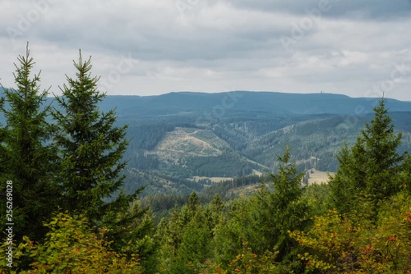 Obraz Aussicht im Thüringer Wald