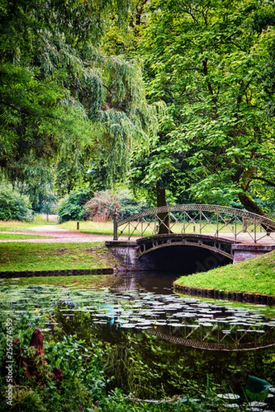 Fototapeta Old bridge over the canal in the mystical forest. As in fairy tales.