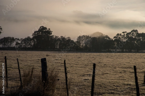Fototapeta Tasmania, Australia