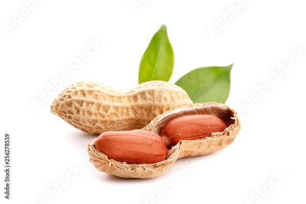 Obraz Raw peanuts on white background with green leaf. Healthy snack ona white background.Top view. close-up.