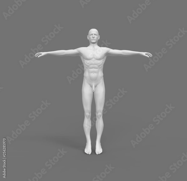 Fototapeta Human Man White  Body 3D Rendering