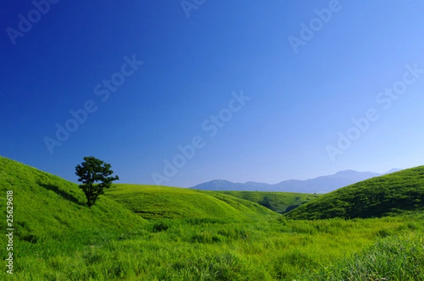 Fototapeta 日本の阿蘇