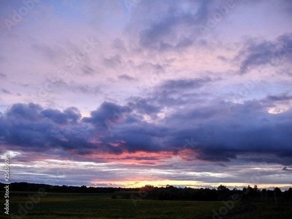 Fototapeta sunset over field