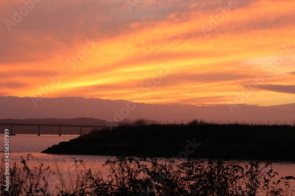 Obraz sunset over the field