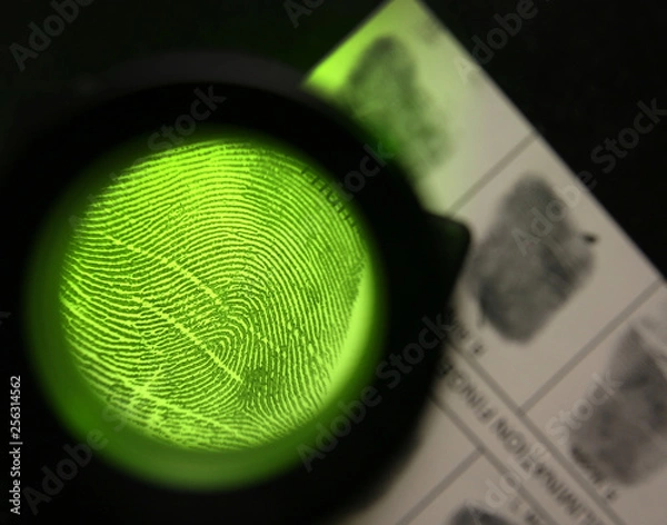 Obraz fingerprint