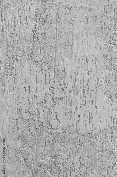 Fototapeta Bright Grey Grunge Plastered Wall Stucco Texture, Vertical Detailed Natural Scratch Grungy Gray Coarse Rustic Textured Background, Concrete Plaster Pattern Detail, Blank Empty Copy Space Macro Closeup