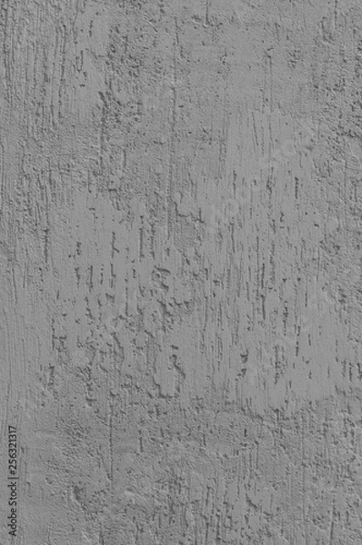 Fototapeta Bright Grey Grunge Plastered Wall Stucco Texture, Vertical Detailed Natural Scratch Grungy Gray Coarse Rustic Textured Background, Concrete Plaster Pattern Detail, Blank Empty Copy Space Macro Closeup