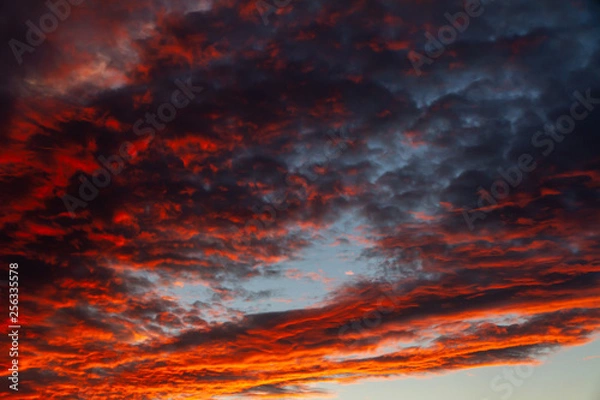 Fototapeta 夕焼け空