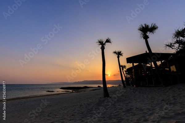 Fototapeta 奄美大島の夕景